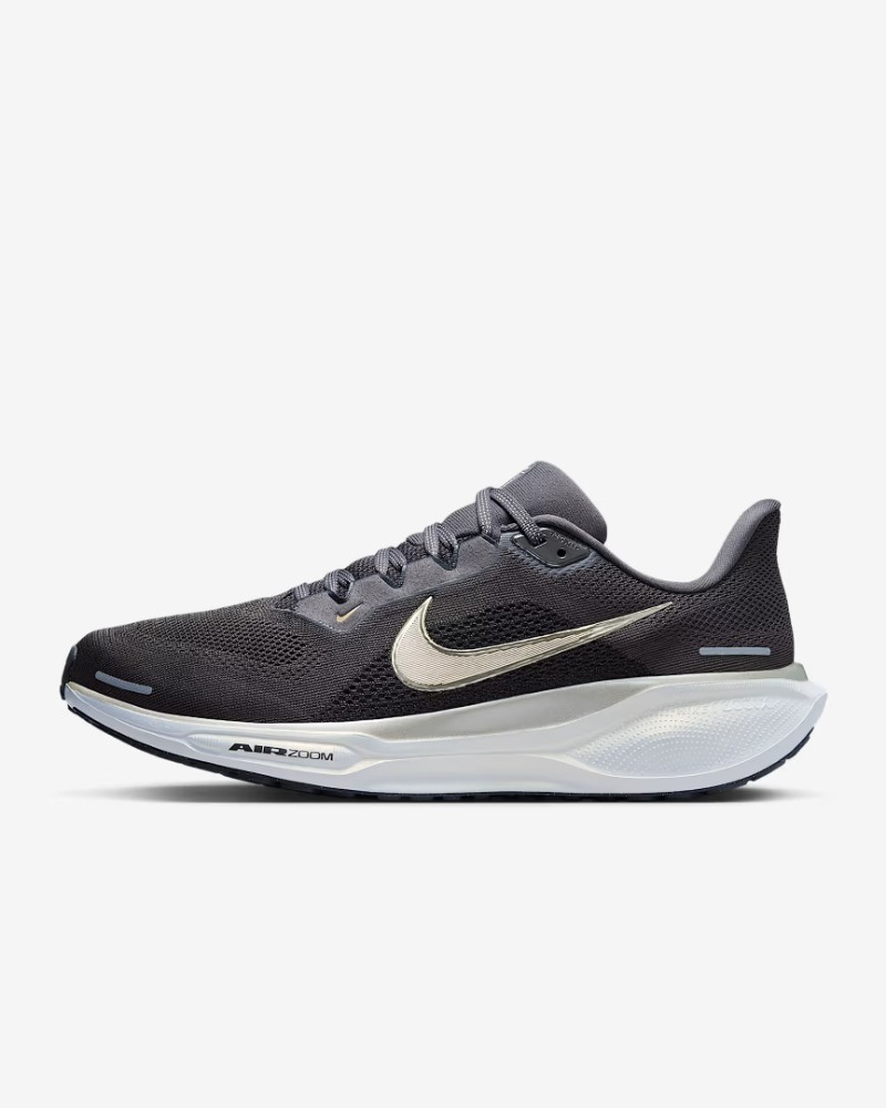 Pegasus 41