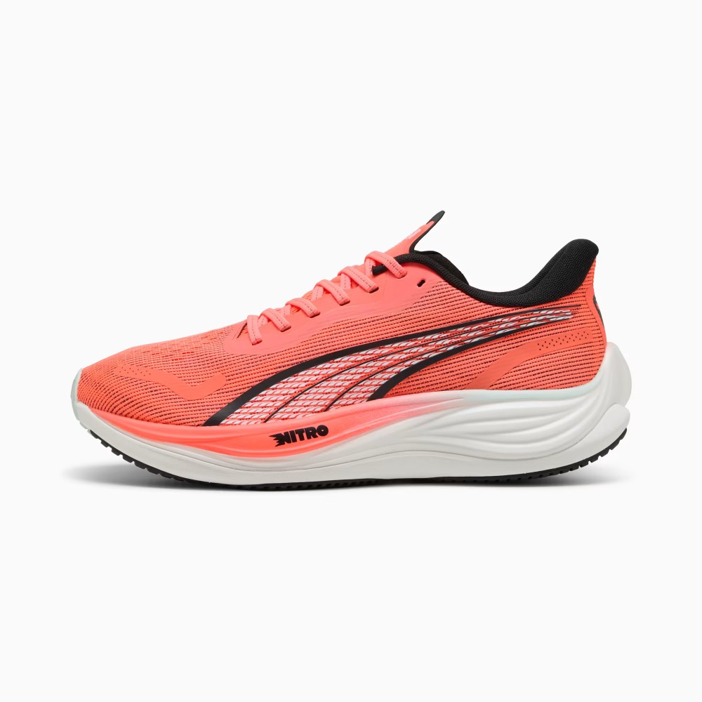 Velocity Nitro